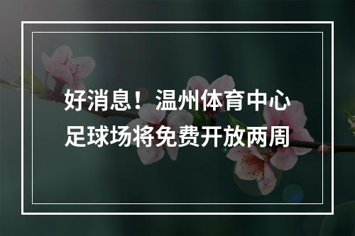 好消息！温州体育中心足球场将免费开放两周