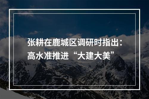 张耕在鹿城区调研时指出：高水准推进“大建大美”