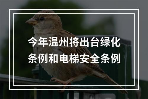 今年温州将出台绿化条例和电梯安全条例
