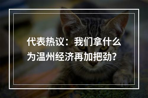 代表热议：我们拿什么为温州经济再加把劲？