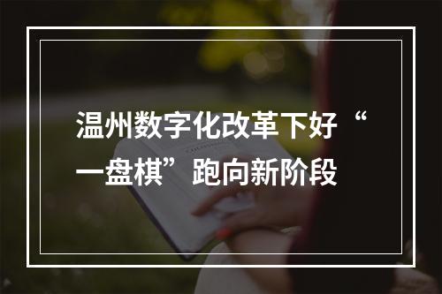 温州数字化改革下好“一盘棋”跑向新阶段