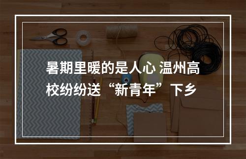 暑期里暖的是人心 温州高校纷纷送“新青年”下乡