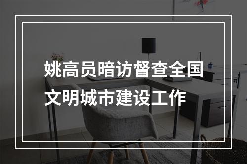 姚高员暗访督查全国文明城市建设工作