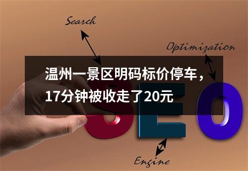 温州一景区明码标价停车，17分钟被收走了20元