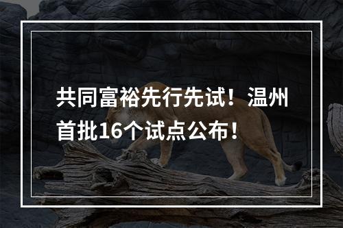 共同富裕先行先试！温州首批16个试点公布！