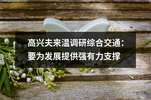 高兴夫来温调研综合交通：要为发展提供强有力支撑