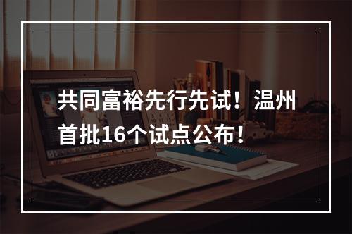 共同富裕先行先试！温州首批16个试点公布！