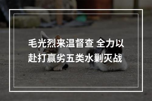 毛光烈来温督查 全力以赴打赢劣五类水剿灭战