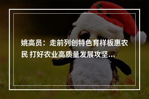 姚高员：走前列创特色育样板惠农民 打好农业高质量发展攻坚战
