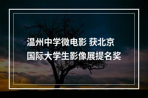 温州中学微电影 获北京国际大学生影像展提名奖