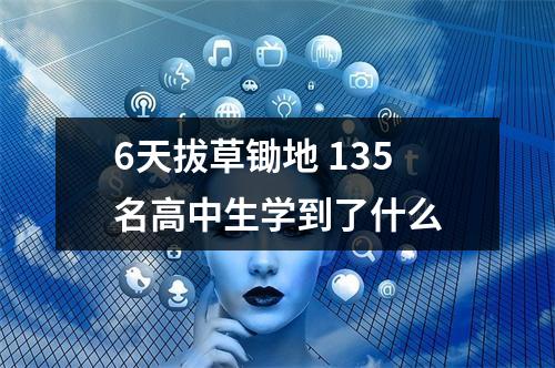 6天拔草锄地 135名高中生学到了什么