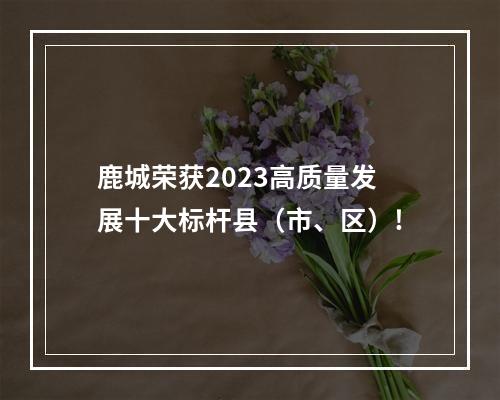 鹿城荣获2023高质量发展十大标杆县（市、区）!