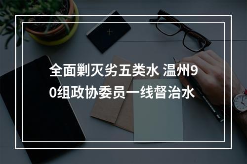 全面剿灭劣五类水 温州90组政协委员一线督治水