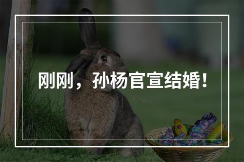 刚刚，孙杨官宣结婚！