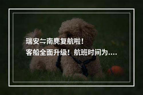 瑞安⇋南麂复航啦！客船全面升级！航班时间为......