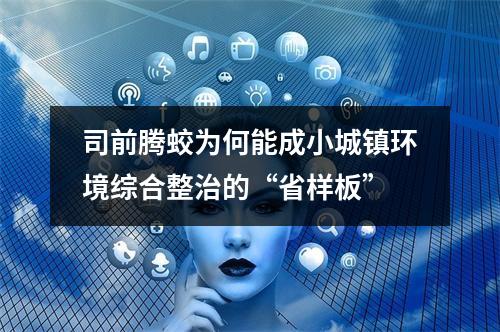 司前腾蛟为何能成小城镇环境综合整治的“省样板”