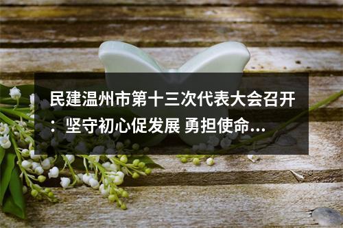 民建温州市第十三次代表大会召开：坚守初心促发展 勇担使命开新局