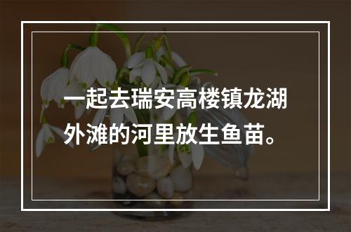 一起去瑞安高楼镇龙湖外滩的河里放生鱼苗。