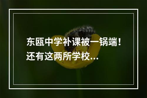 东瓯中学补课被一锅端！还有这两所学校...