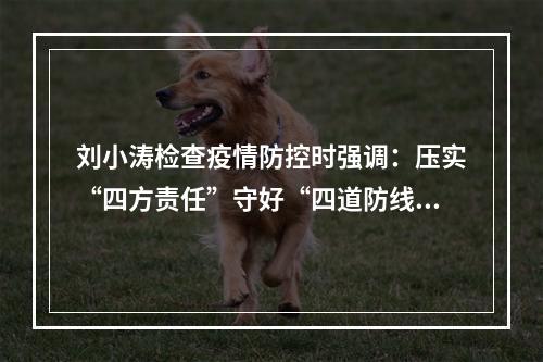 刘小涛检查疫情防控时强调：压实“四方责任”守好“四道防线”
