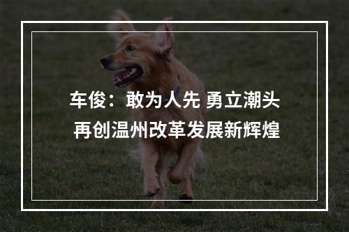 车俊：敢为人先 勇立潮头 再创温州改革发展新辉煌