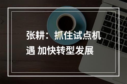 张耕：抓住试点机遇 加快转型发展