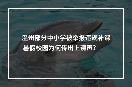 温州部分中小学被举报违规补课 暑假校园为何传出上课声？