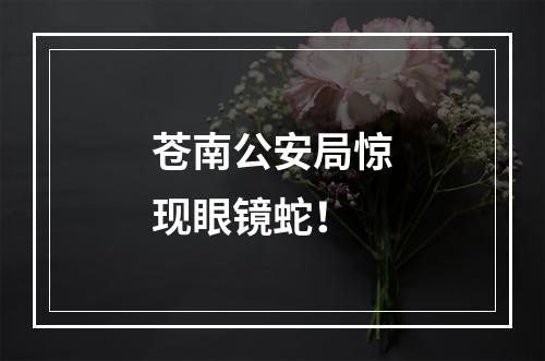 苍南公安局惊现眼镜蛇！