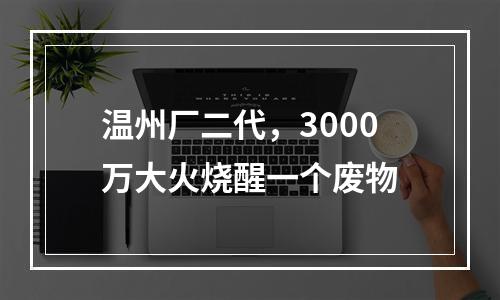 温州厂二代，3000万大火烧醒一个废物