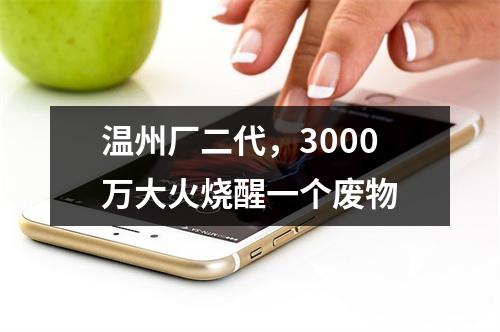温州厂二代，3000万大火烧醒一个废物