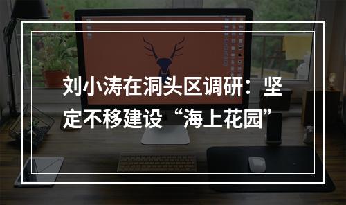 刘小涛在洞头区调研：坚定不移建设“海上花园”