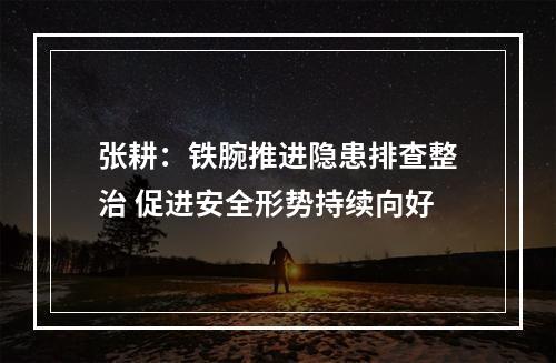 张耕：铁腕推进隐患排查整治 促进安全形势持续向好