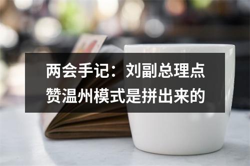 两会手记：刘副总理点赞温州模式是拼出来的