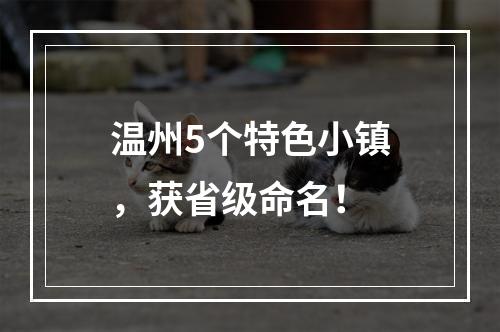 温州5个特色小镇，获省级命名！