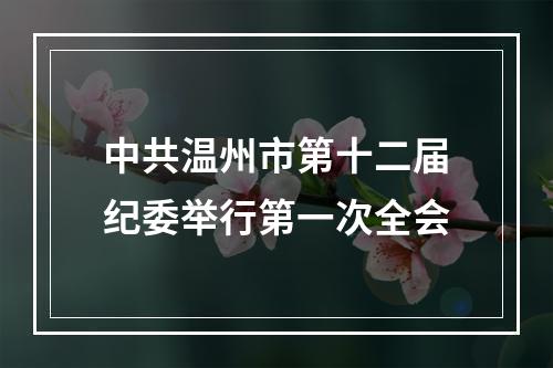 中共温州市第十二届纪委举行第一次全会