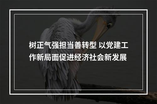 树正气强担当善转型 以党建工作新局面促进经济社会新发展