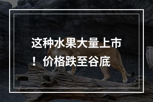 这种水果大量上市！价格跌至谷底