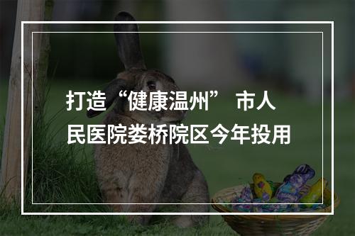 打造“健康温州” 市人民医院娄桥院区今年投用