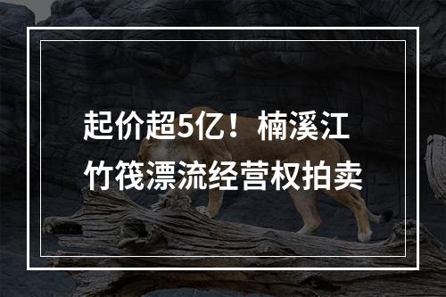 起价超5亿！楠溪江竹筏漂流经营权拍卖