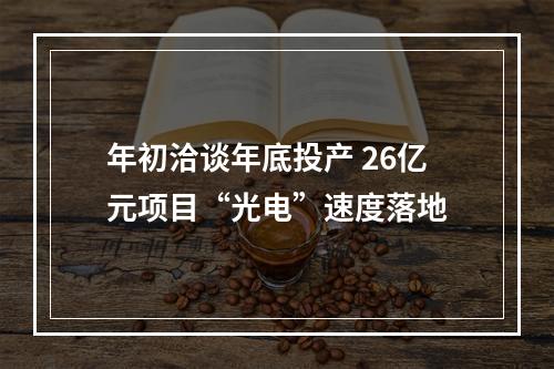 年初洽谈年底投产 26亿元项目“光电”速度落地