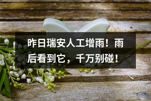 昨日瑞安人工增雨！雨后看到它，千万别碰！