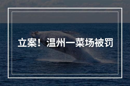 立案！温州一菜场被罚