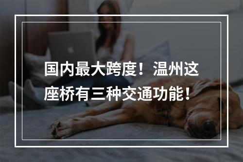 国内最大跨度！温州这座桥有三种交通功能！