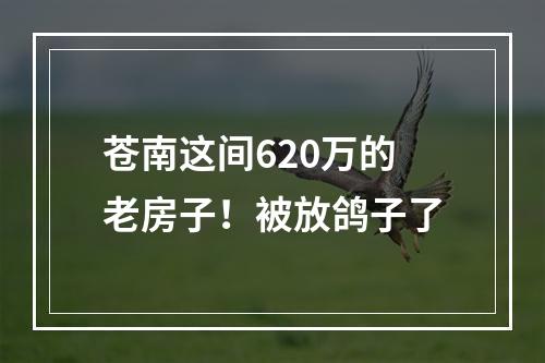 苍南这间620万的老房子！被放鸽子了