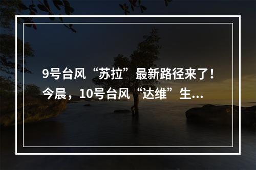 9号台风“苏拉”最新路径来了！今晨，10号台风“达维”生成