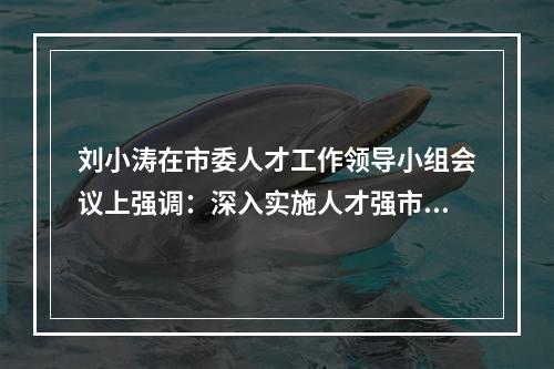 刘小涛在市委人才工作领导小组会议上强调：深入实施人才强市创新首位战略