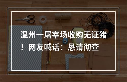 温州一屠宰场收购无证猪！网友喊话：恳请彻查