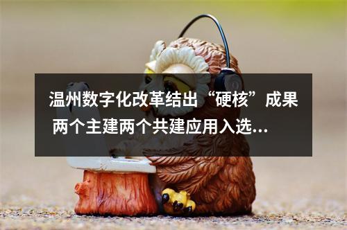 温州数字化改革结出“硬核”成果 两个主建两个共建应用入选“全省最佳”