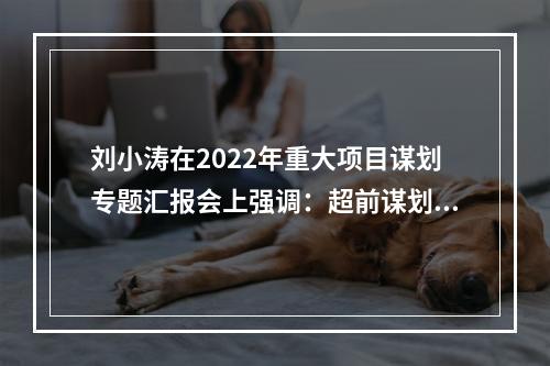 刘小涛在2022年重大项目谋划专题汇报会上强调：超前谋划靠前发力 以重大项目建设夯实高质量发展根基