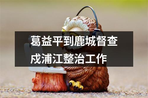 葛益平到鹿城督查戍浦江整治工作